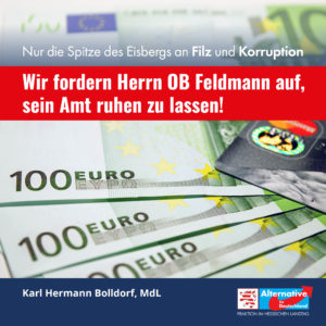 Read more about the article „Wir fordern Herrn OB Feldmann auf, sein Amt ruhen zu lassen“