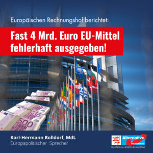 Read more about the article Europäischen Rechnungshof berichtet: Fast 4 Mrd. Euro EU-Mittel fehlerhaft ausgegeben!