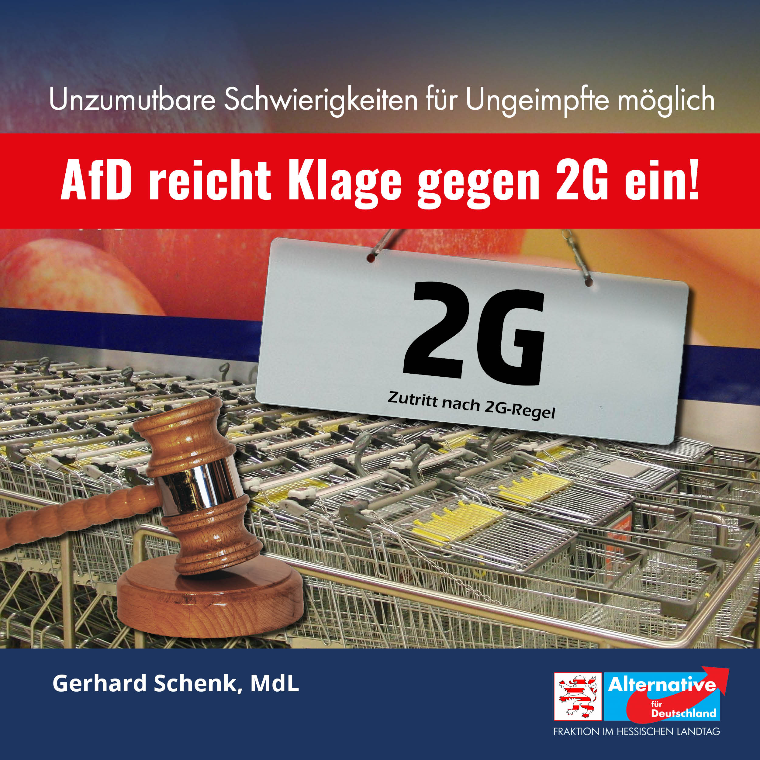 Read more about the article AfD reicht Klage gegen 2G ein