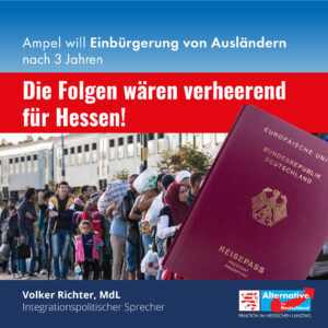 Read more about the article Pläne der Ampel für Migration
