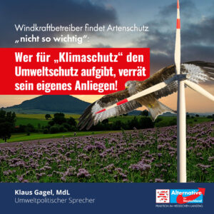 Read more about the article Artenschutz vs Klimaschutz