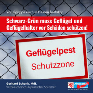 Read more about the article Vogelgrippe in Hessen: „Ausbreitung vorbeugen – Geflügelhalter schützen“