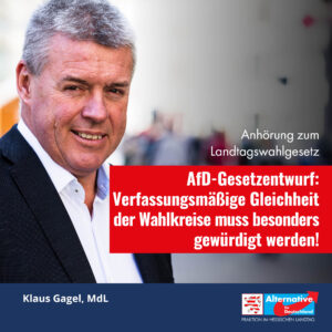 Read more about the article AfD sieht sich nach Anhörung zum Landtagswahlgesetz gestärkt