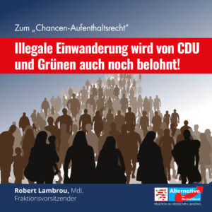 Read more about the article Illegale Einwanderung wird von CDU und Grünen auch noch belohnt