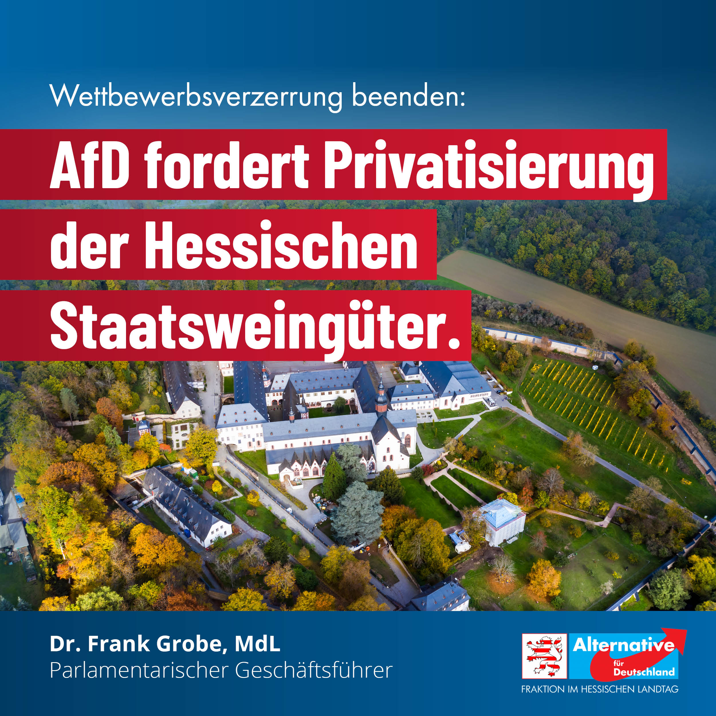 Read more about the article Wettbewerbsverzerrung beenden: AfD fordert Privatisierung der Hessischen Staatsweingüter