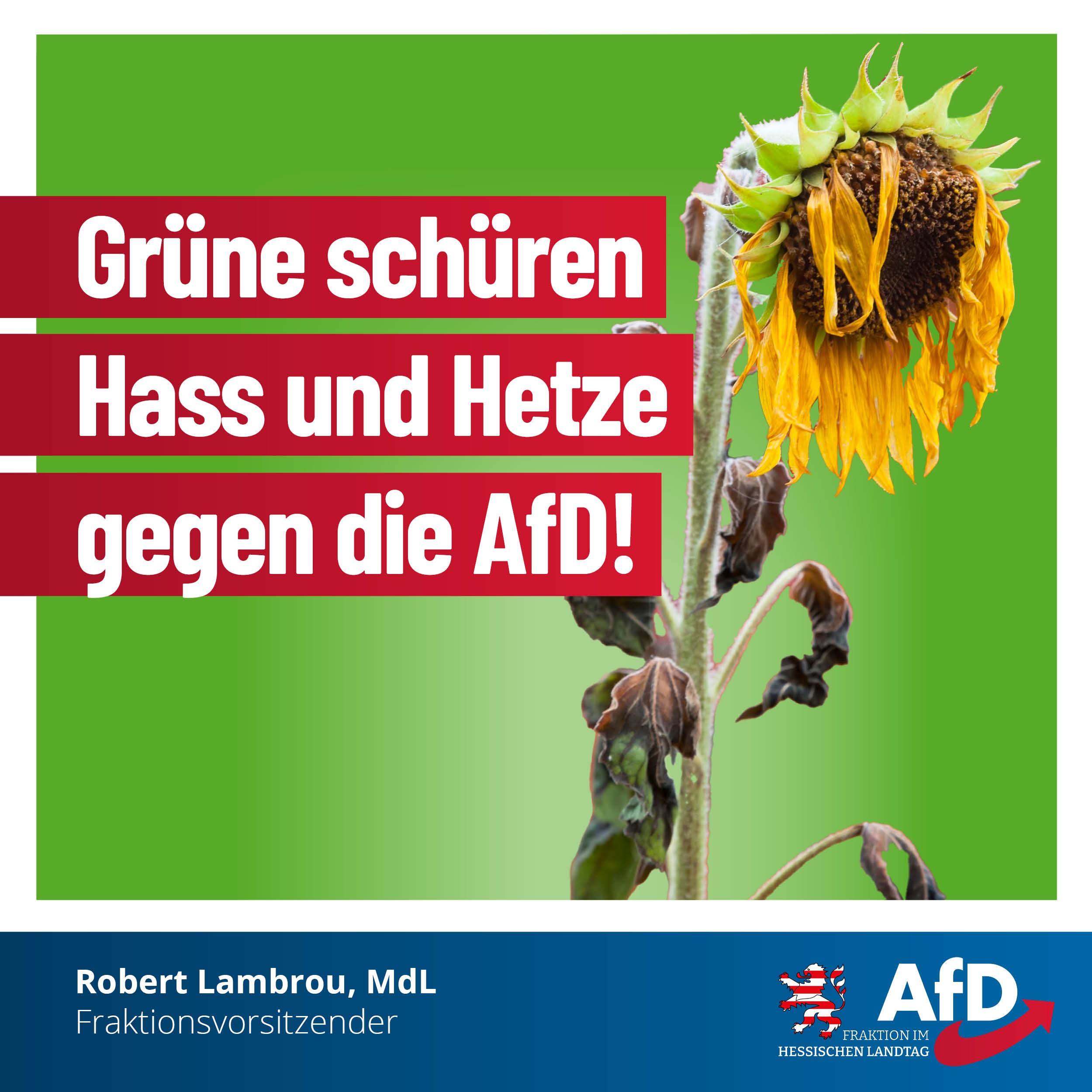 Read more about the article Grüne schüren Hass und Hetze gegen die AfD