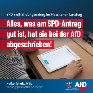 Read more about the article Alles, was am SPD-Antrag gut ist, hat sie bei der AfD abgeschrieben