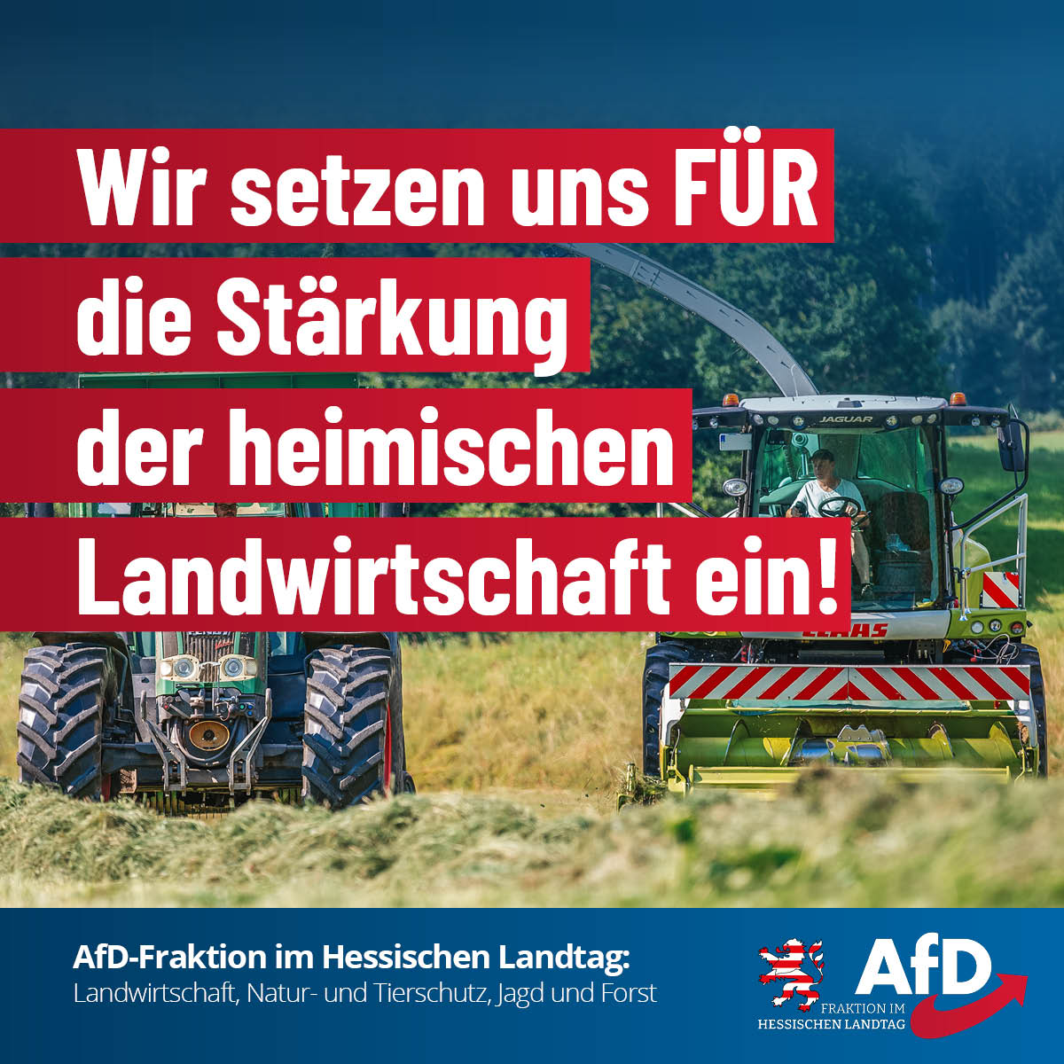 Read more about the article AfD-Fraktion im Hessischen Landtag zu Landwirtschaft, Natur- und Tierschutz, Jagd und Forst