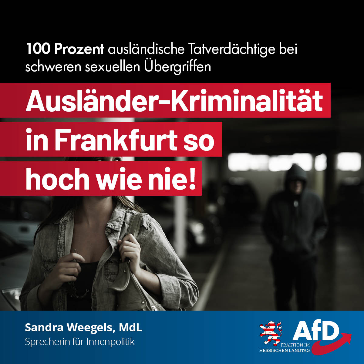 Read more about the article Ausländer-Kriminalität in Frankfurt so hoch wie nie: 100 Prozent (!) ausländische Tatverdächtige bei schweren sexuellen Übergriffen