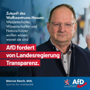 Mehr über den Artikel erfahren Zukunft des Wolfszentrums Hessen: AfD fordert von Landesregierung Transparenz