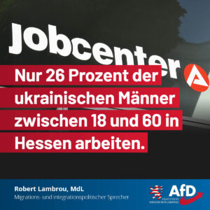 Mehr über den Artikel erfahren Nur 26 Prozent der ukrainischen Männer zwischen 18 und 60 in Hessen arbeiten