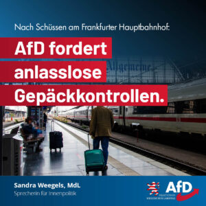 Mehr über den Artikel erfahren Nach Schüssen am Frankfurter Hauptbahnhof: AfD fordert anlasslose Gepäckkontrollen