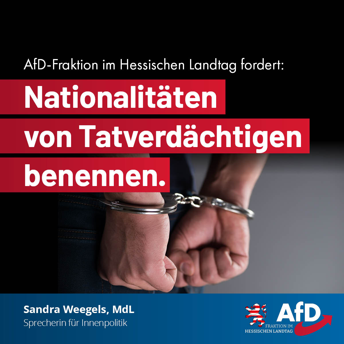 Mehr über den Artikel erfahren AfD fordert, Nationalitäten von Tatverdächtigen in Hessen zu nennen