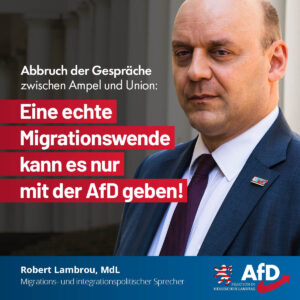 Mehr über den Artikel erfahren Abbruch der Gespräche zwischen Ampel und Union: Eine echte Migrationswende kann es nur mit der AfD geben