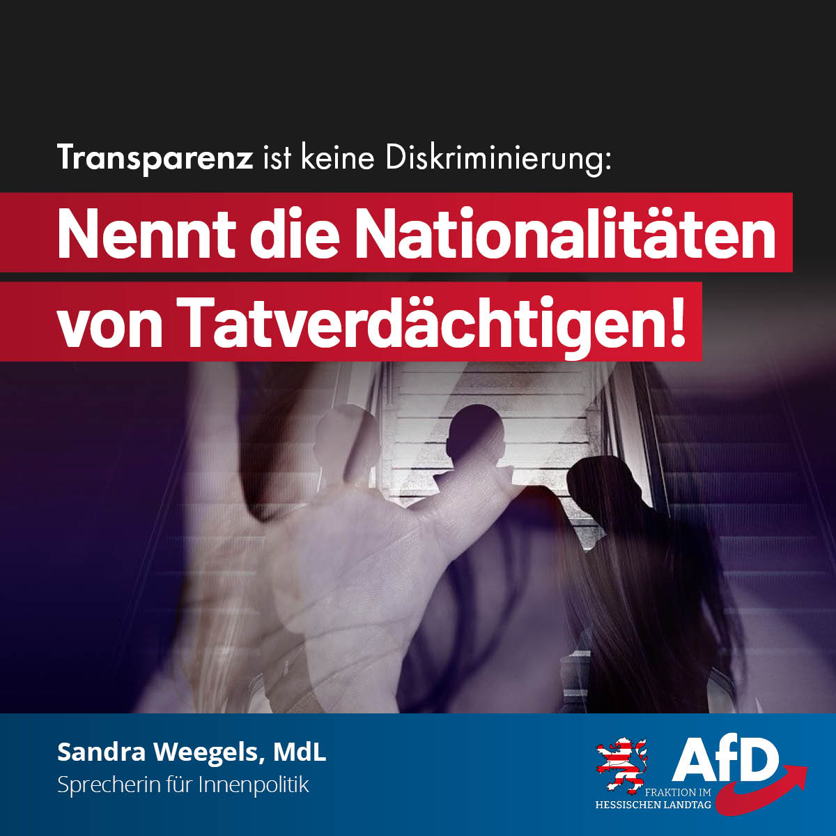 Mehr über den Artikel erfahren Transparenz ist keine Diskriminierung: Nennt die Nationalitäten von Tatverdächtigen!