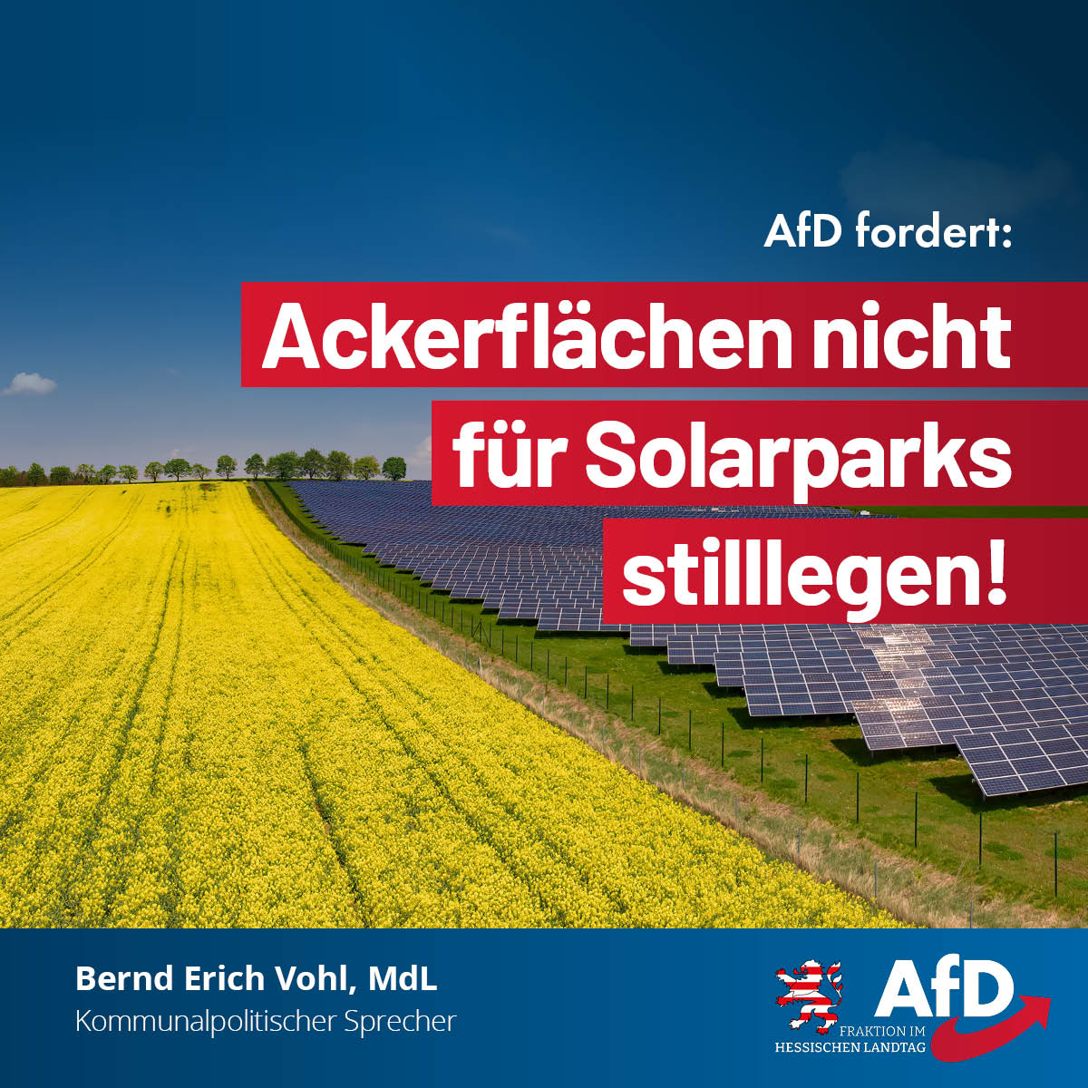 Du betrachtest gerade AfD fordert: Ackerflächen nicht für Solarparks stilllegen!