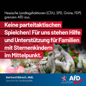 Mehr über den Artikel erfahren Unterstützung von Familien mit Sternenkindern: Parteitaktische Spielchen beenden!