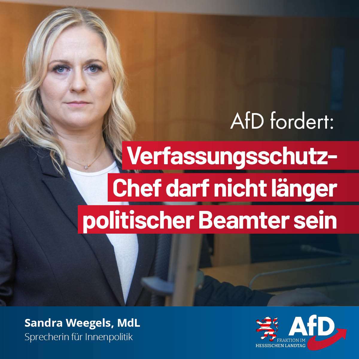 Verfassungsschutz