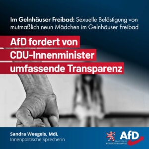 Mehr über den Artikel erfahren Sexuelle Belästigung im Gelnhäuser Freibad: AfD fordert von CDU-Innenminister umfassende Transparenz