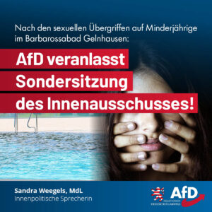 Mehr über den Artikel erfahren Nach den sexuellen Übergriffen auf Minderjährige im Barbarossabad Gelnhausen: AfD veranlasst Sondersitzung des Innenausschusses!