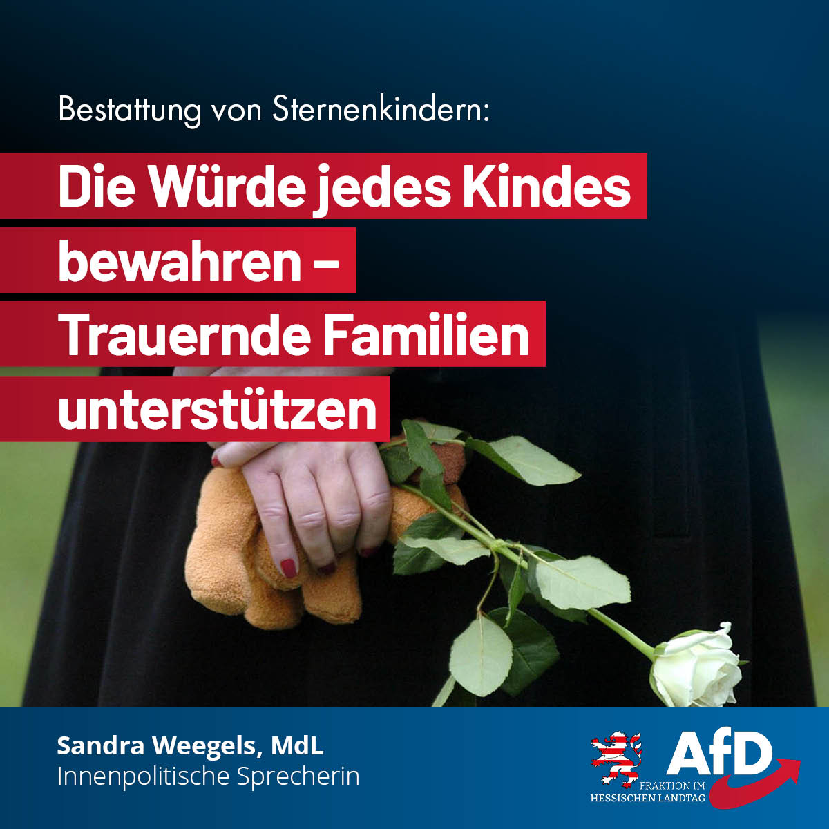 Du betrachtest gerade Bestattung von Sternenkindern: Würde jedes Kindes bewahren, trauernde Familien unterstützen