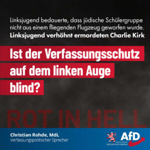 Mehr über den Artikel erfahren Wieso wird die Linksjugend im Verfassungsschutzbericht nicht erwähnt?