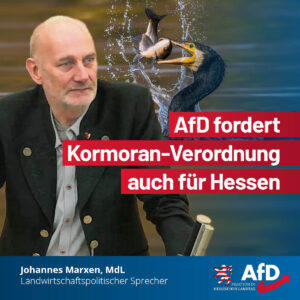 Mehr über den Artikel erfahren AfD fordert Kormoran-Verordnung auch für Hessen