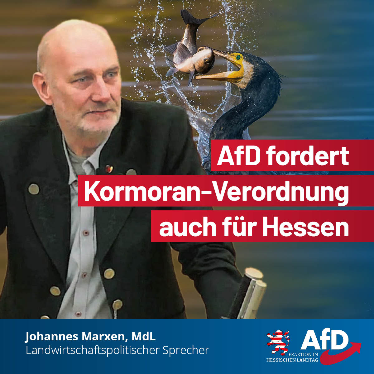 Du betrachtest gerade AfD fordert Kormoran-Verordnung auch für Hessen